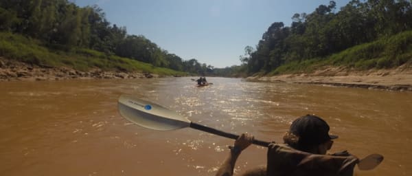 3-Day Tambopata National Reserve Tour with Kayaking and Night Wildlife