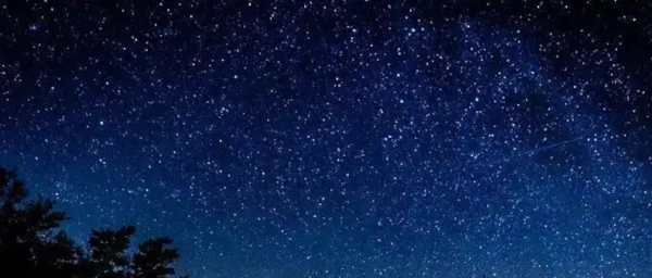 1-Hour Sequoia National Park Stargazing Tour at Wolverton Meadow