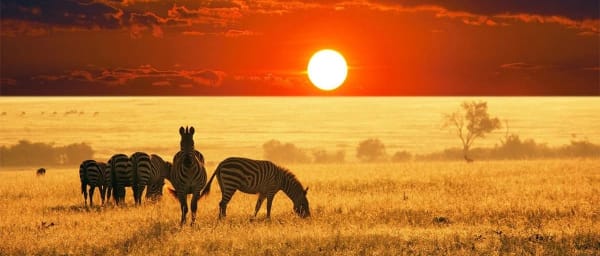 7-Day Big Five Safari in Tanzania with Serengeti and Ngorongoro