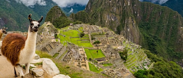 Full-Day Machu Picchu Tour from Cusco with Vistadome Train