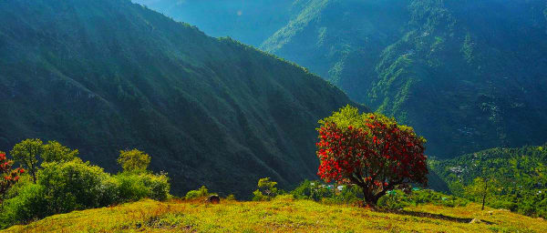 2-Day Rangthar Trek in Great Himalayan National Park with Camping