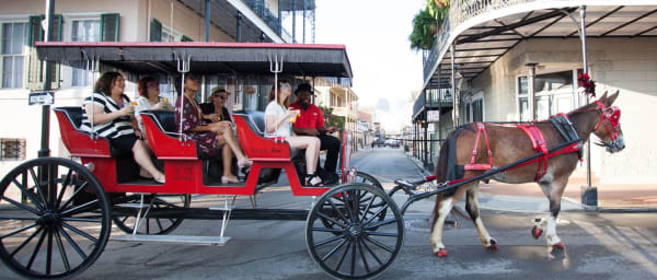 5-Hour New Orleans French Quarter Carriage Tour with Curbside Drinks