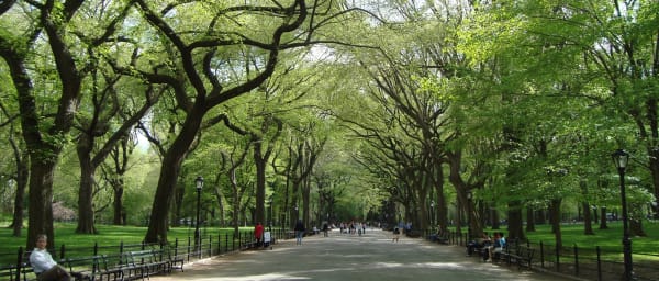 2-Hour Central Park Walking Tour in New York with Movie Sites