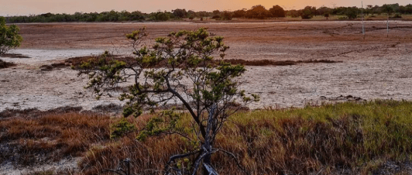 5-Day Safari in Mikumi and Saadani National Parks from Dar es Salaam