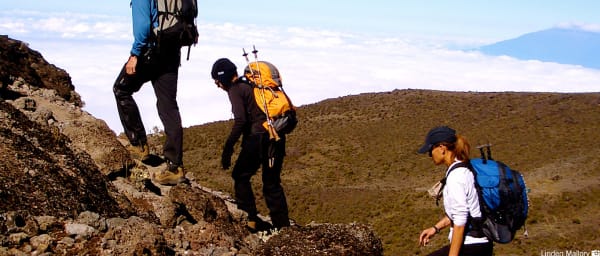 7-Day Mount Kilimanjaro Machame Route Trek to Uhuru Peak