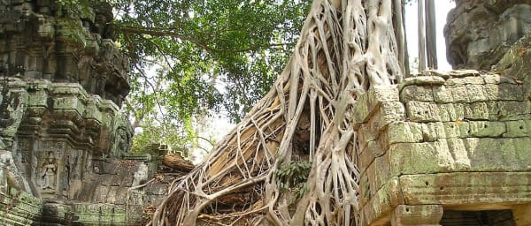 7-Hour Angkor Wat Sunrise Tour with Ta Prohm and Bayon
