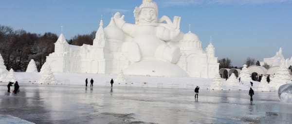 8-Hour Harbin Winter Tour with Sun Island and Siberian Tiger Park
