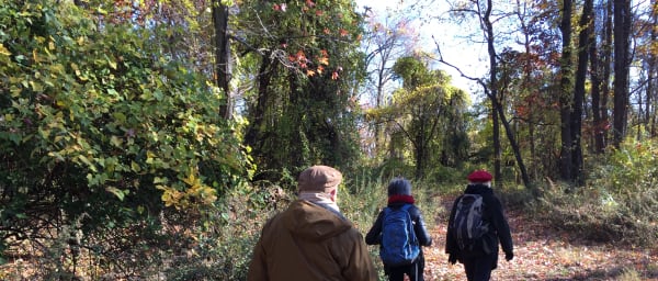 Full-Day George Washington Bridge and Palisades Walking Tour
