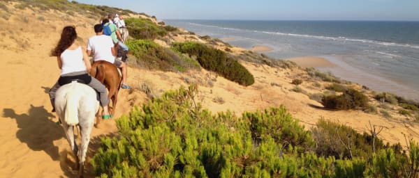 Full-Day Doñana National Park Tour with Horse Ride and El Rocío