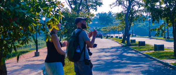 4-Hour Bird Watching Tour in Colombo with Urban Wetland Birding