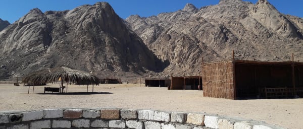 Full-Day Bedouin Village Tour in Hurghada with Sunset Dinner