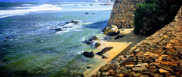 1-Day Bentota and Galle Tour with Turtle Hatchery and Galle Fort