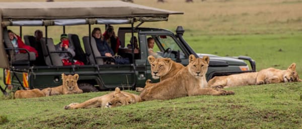 3-Day Maasai Mara Safari with Hot-Air Balloon Flight