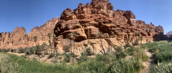 Full-Day Wadi Al Disah Tour from Tabuk with Canyon Drive