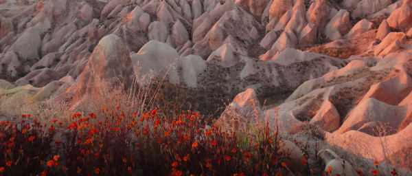 1-Day Cappadocia Highlights Tour with Ürgüp Wine Tasting