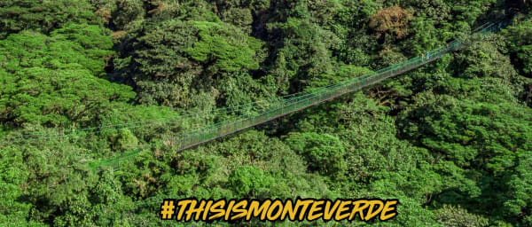 2-Day Selvatura Adventure in Monteverde with Coffee and Chocolate Tour