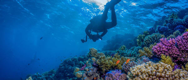 4-Hour Discover Scuba Diving Experience in Jeddah for Beginners