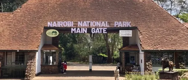Full-Day Nairobi Wildlife Tour with Elephant and Giraffe Encounters
