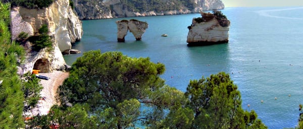 8-Hour Gargano North Coast Tour with Vieste and Vico Garganico