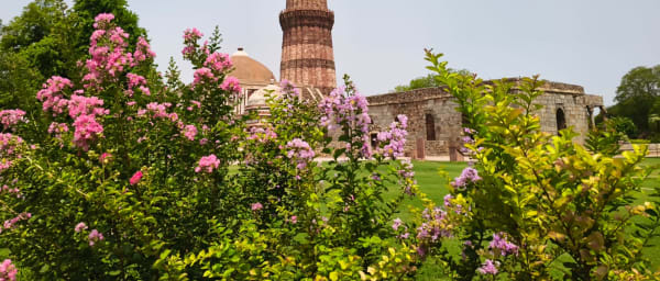 8-Hour Old and New Delhi Heritage Tour with Rickshaw Ride