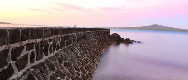 Full-Day Auckland Highlights Tour with Mt. Eden and Auckland Museum