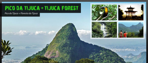 5-Hour Pico da Tijuca Hike in Rio with Vista Chinesa