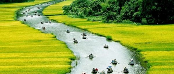 Full-Day Hoa Lư and Tam Cốc-Bích Động Tour with Sampan Ride