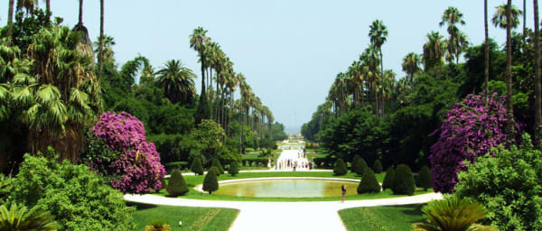7-Hour Algiers City Tour with Casbah and Monument of the Martyr