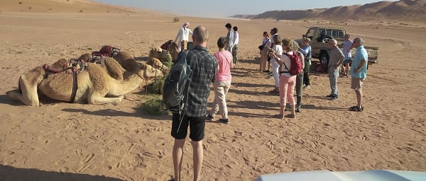 9-Hour Private Wahiba Sands Desert Adventure with Bedouin House