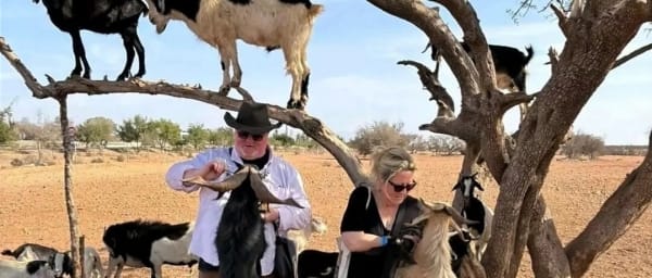 4-Hour Agadir Tour with Tree-Climbing Goats and Souk Al Ahad