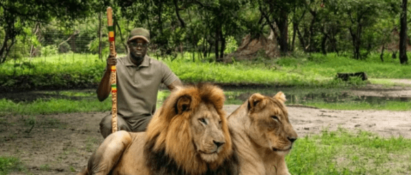 8-Hour Fathala Wildlife Reserve Safari from The Gambia by 4x4