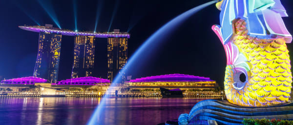 4-Hour Singapore History and Culture Tour with Hawker Dinner
