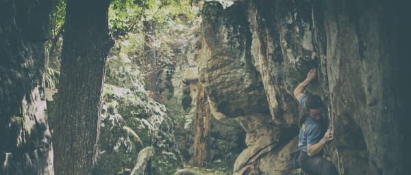 1-Day Rock Climbing Tour in San Francisco for Beginners