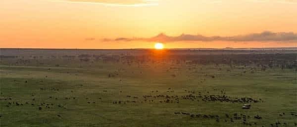 5-Day Northern Circuit Camping Safari through Tarangire and Serengeti