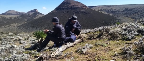 9-Day Bale Mountains Trek with Ethiopian Wolves and Tullu Deemtu