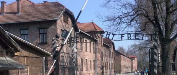 11-Hour Auschwitz-Birkenau and Wieliczka Salt Mine Tour