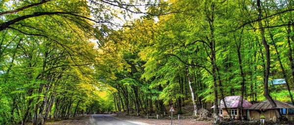 1-Day Quba Highlights Tour with Beshbarmag Mountains