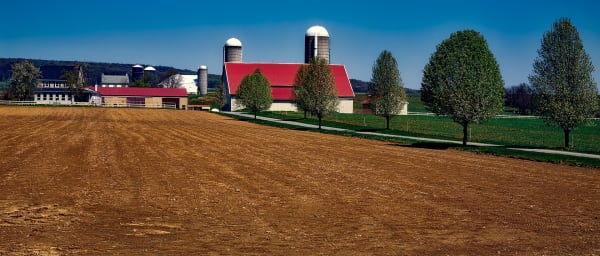 6-Hour Horse and Buggy Tour of Lancaster with Amish Farmhouse Visit