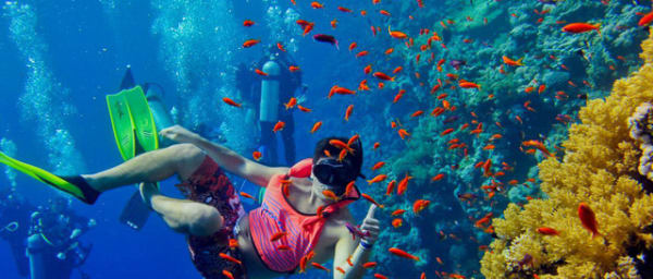 3-Day Zanzibar Snorkelling Tour with Safari Blue and Sandbanks