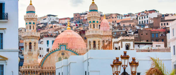 Full-Day Algiers Gardens and Casbah Tour with Basilica Views