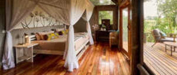 5-Day Okavango Delta Tiger Fishing Tour with the Barbel Run