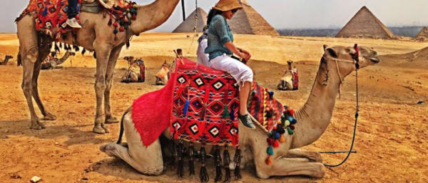 4-Hour Giza Highlights Tour with Pyramids, Sphinx and Valley Temple