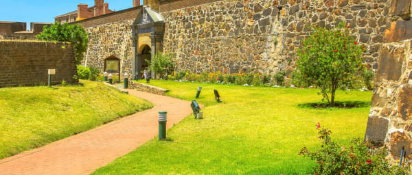 Full-Day Cape Town Tour with Table Mountain and Groot Constantia