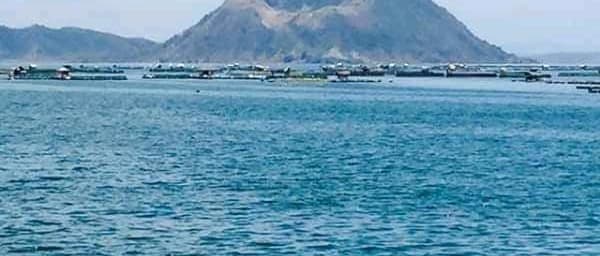 1-Day Taal Volcano and Tagaytay Tour with Lake Cruise