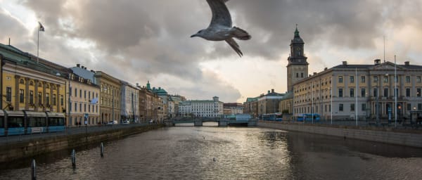 2-Hour Gothenburg Private Walking Tour with a Local