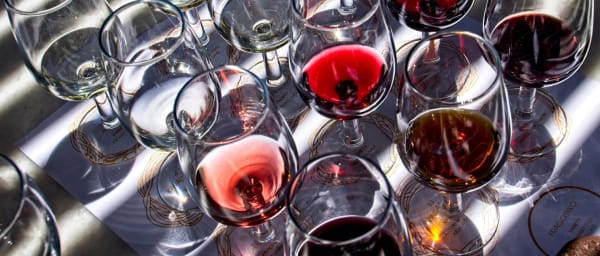 10-Hour Cape Winelands Tour through Stellenbosch, Franschhoek and Paarl