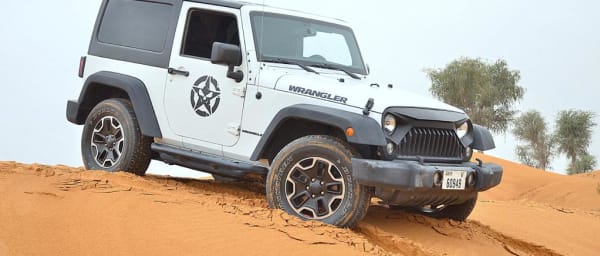 6-Hour Self-Drive Desert Safari in Ras al Khaimah with BBQ Dinner