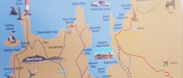 4-Hour Nature Drive in Lüderitz Peninsula with Coastal Wildlife