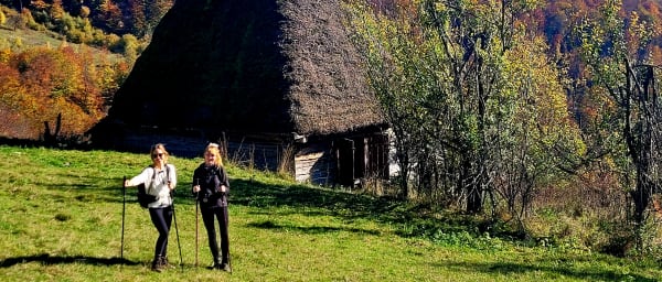 1-Day Hiking Tour in the Apuseni Mountains to Scarita Peak