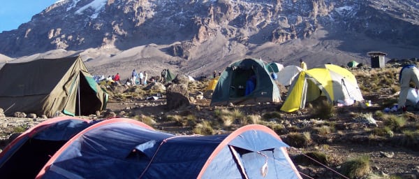 7-Day Kilimanjaro Lemosho Trek to Uhuru Peak from Moshi or Arusha